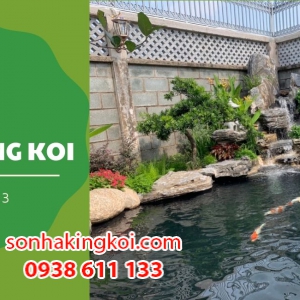 Đơn vị thiết kế, thi công hồ cá Koi - Sơn Hà King Koi