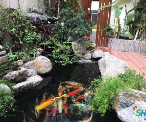 Hồ cá koi sân vườn nhà anh Bình - Quận 7
