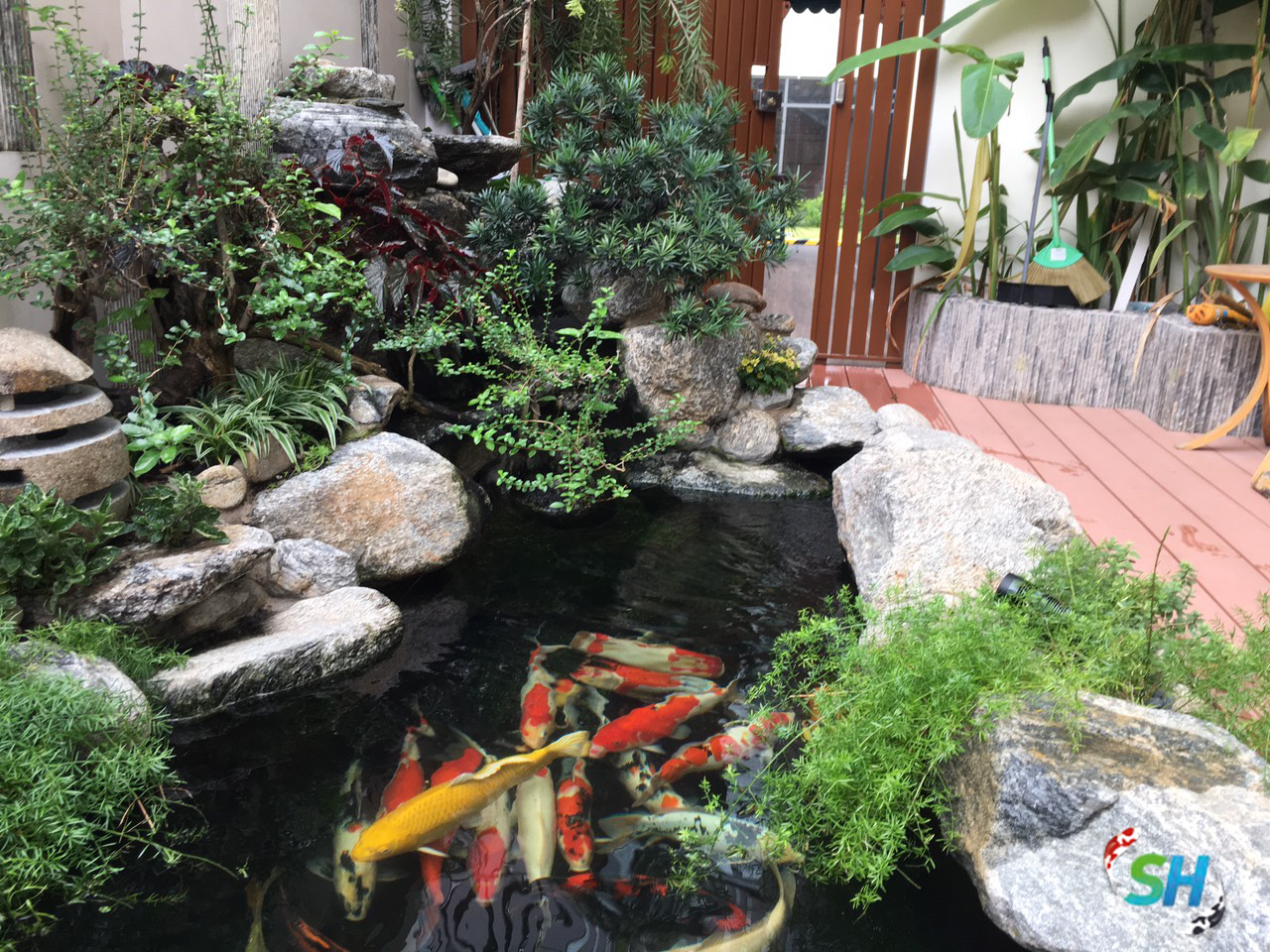 Hồ cá koi sân vườn nhà anh Bình - Quận 7